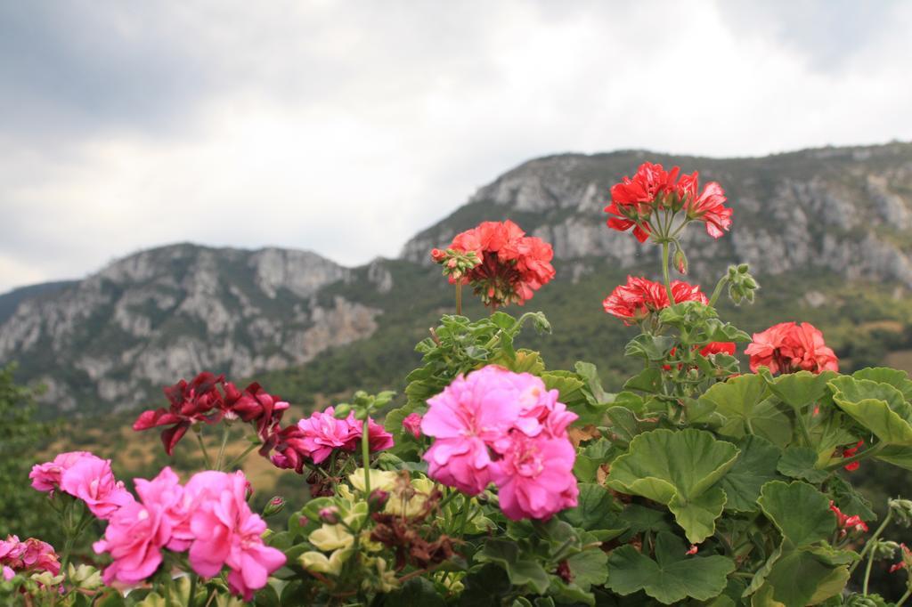Pensiune Safrane Băile Herculane Zimmer foto