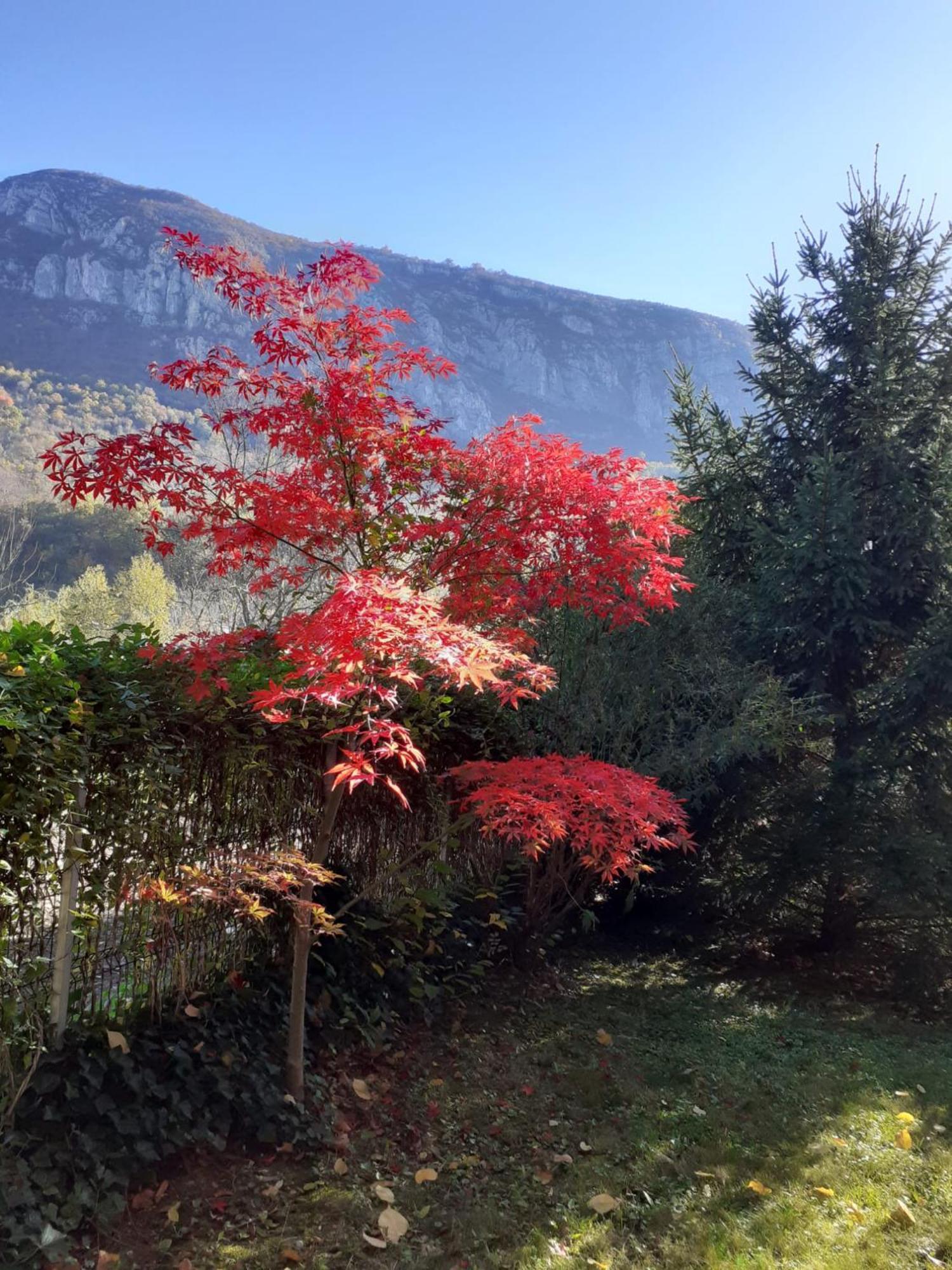 Pensiune Safrane Băile Herculane Exterior foto